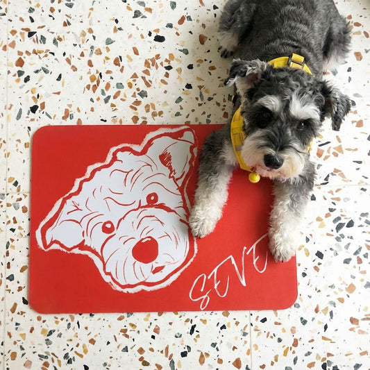 Custom Pet Line Art Diatomite Bath Mat