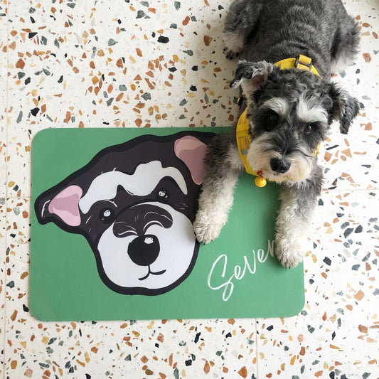 Custom Pet Graphic Diatomite Bath Mat
