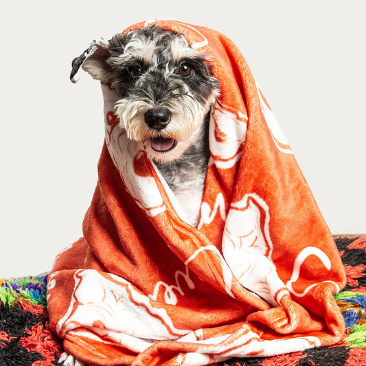Custom Pet Line Art Blanket