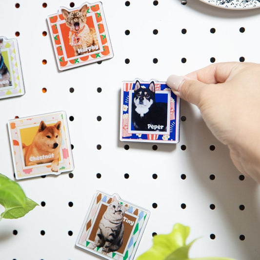 Custom Square Pet Fridge Magnet