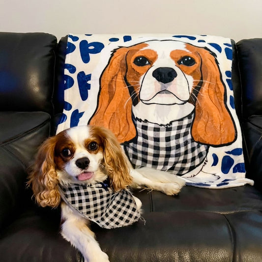 Custom Pet Name Blanket