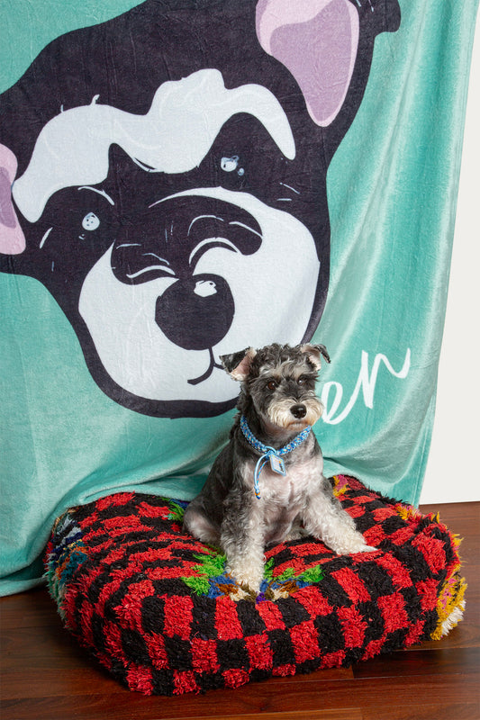 Dog sitting on a checkered dog bed with a large dog graphic in the background