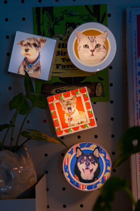 Collection of pet-themed coasters on a pegboard with plants in the foreground.