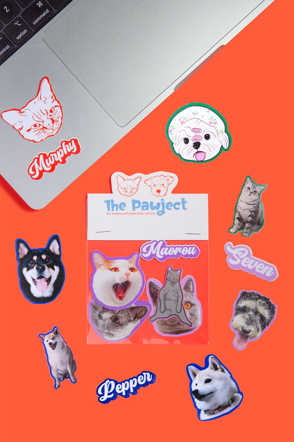Custom Pet Portrait Stickers with Colorful Borders | Personalized Pet Portrait