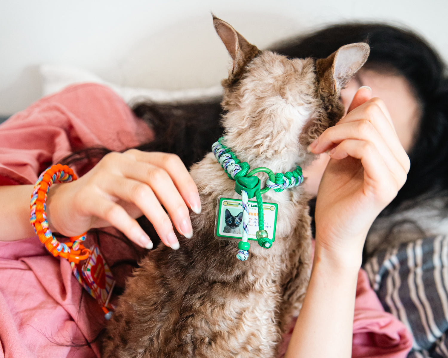 Person holding a small dog with a green collar and tag, wearing colorful bracelets.