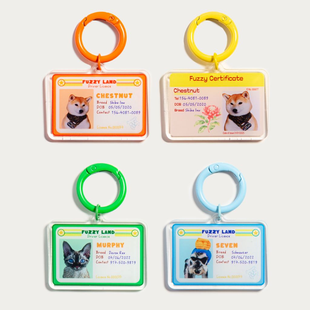 Custom Pet ID Tag with Name | Mini Driver’s License