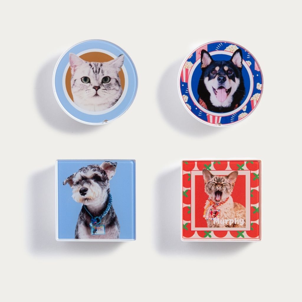 Custom LED Lightbox Pet Acrylic Fridge Magnet