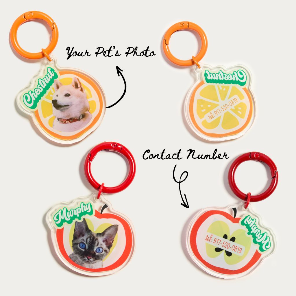 Custom Pet ID Tag with Name | Fruit-Shaped