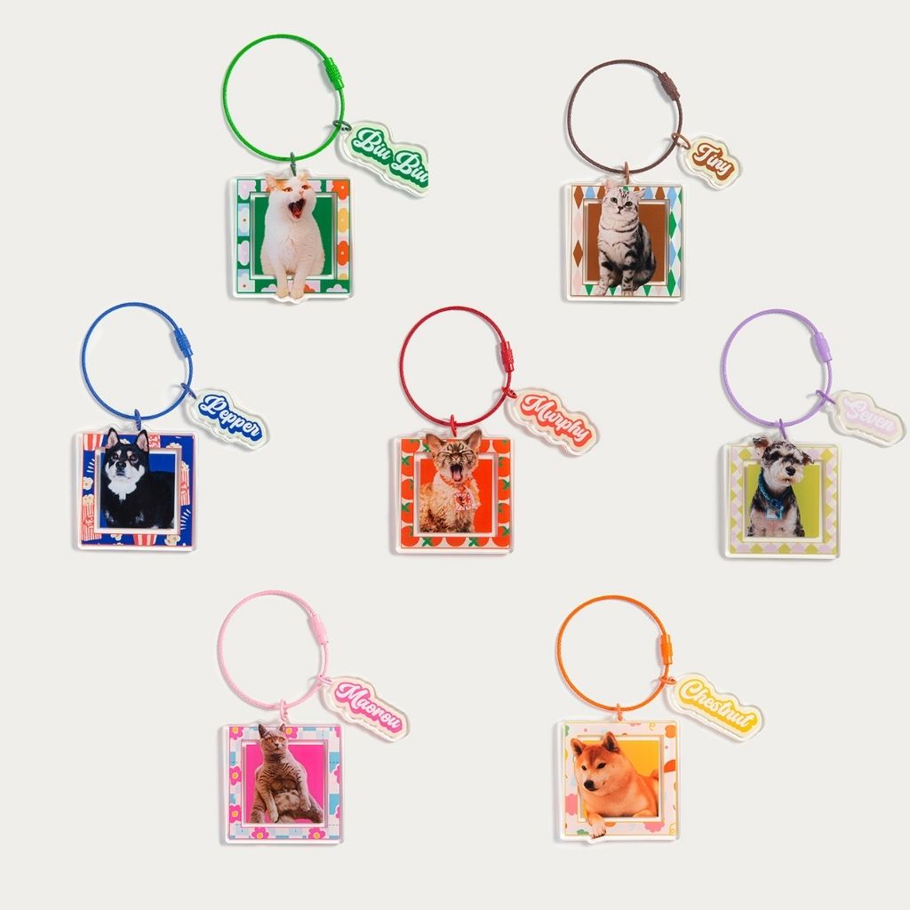 Custom Square Acrylic Pet Keychain