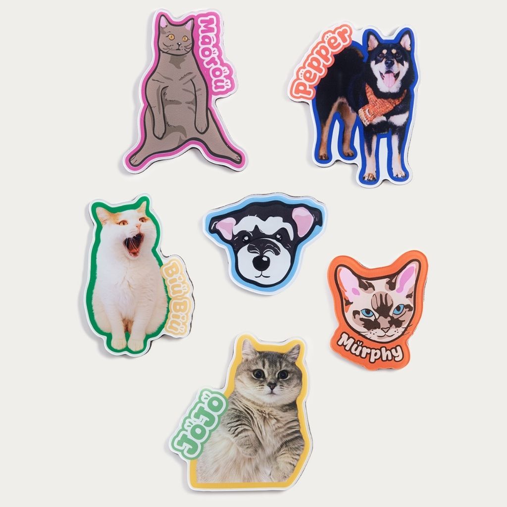 Custom Pet Shape Acrylic Fridge Magnet