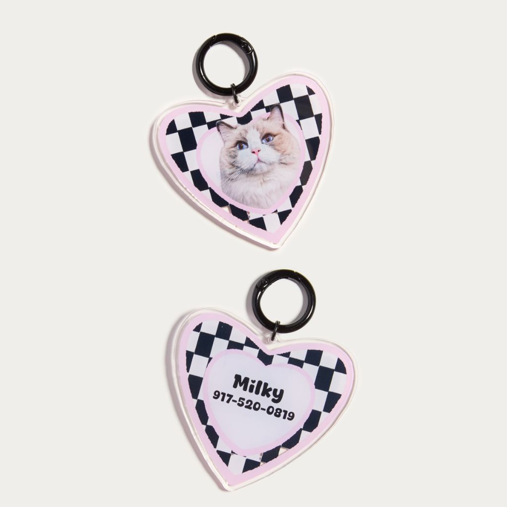 Custom Pet ID Tag with Name | Heart-Shaped
