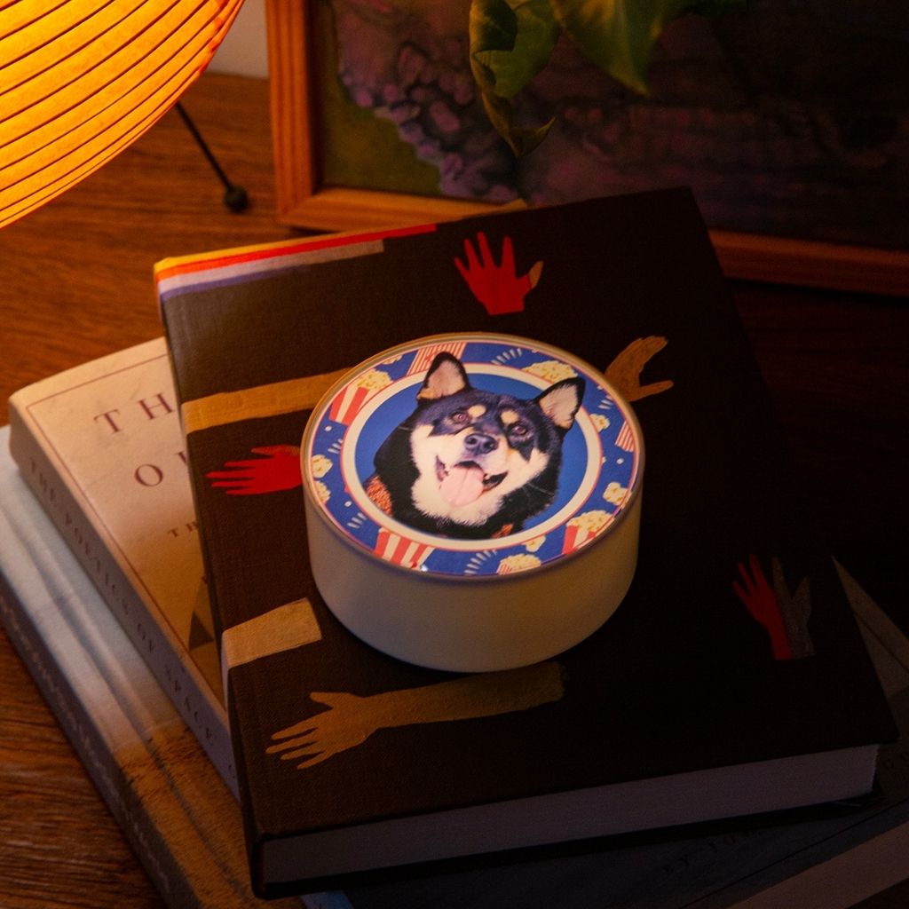 Custom LED Lightbox Pet Acrylic Fridge Magnet