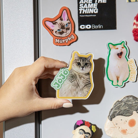 Custom Pet Shape Acrylic Fridge Magnet