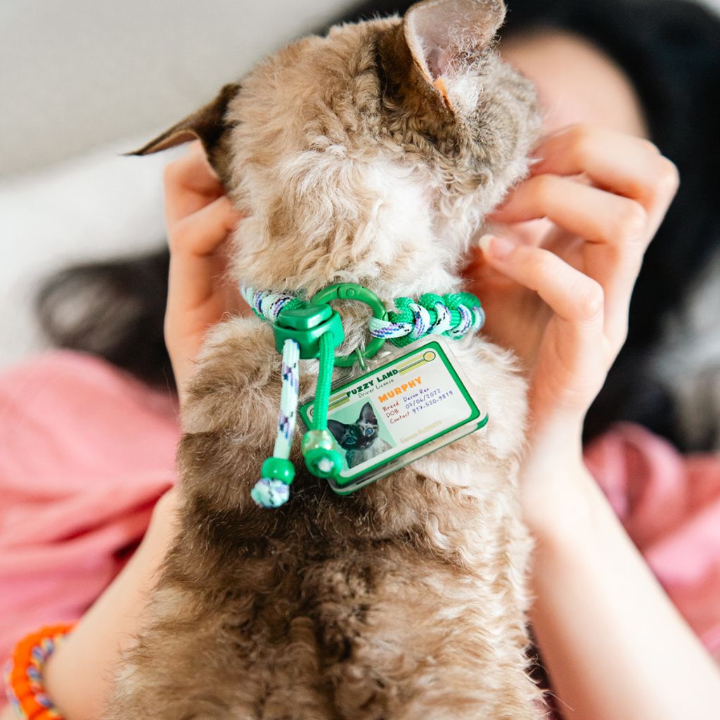 Custom Pet ID Tag with Name | Mini Driver’s License