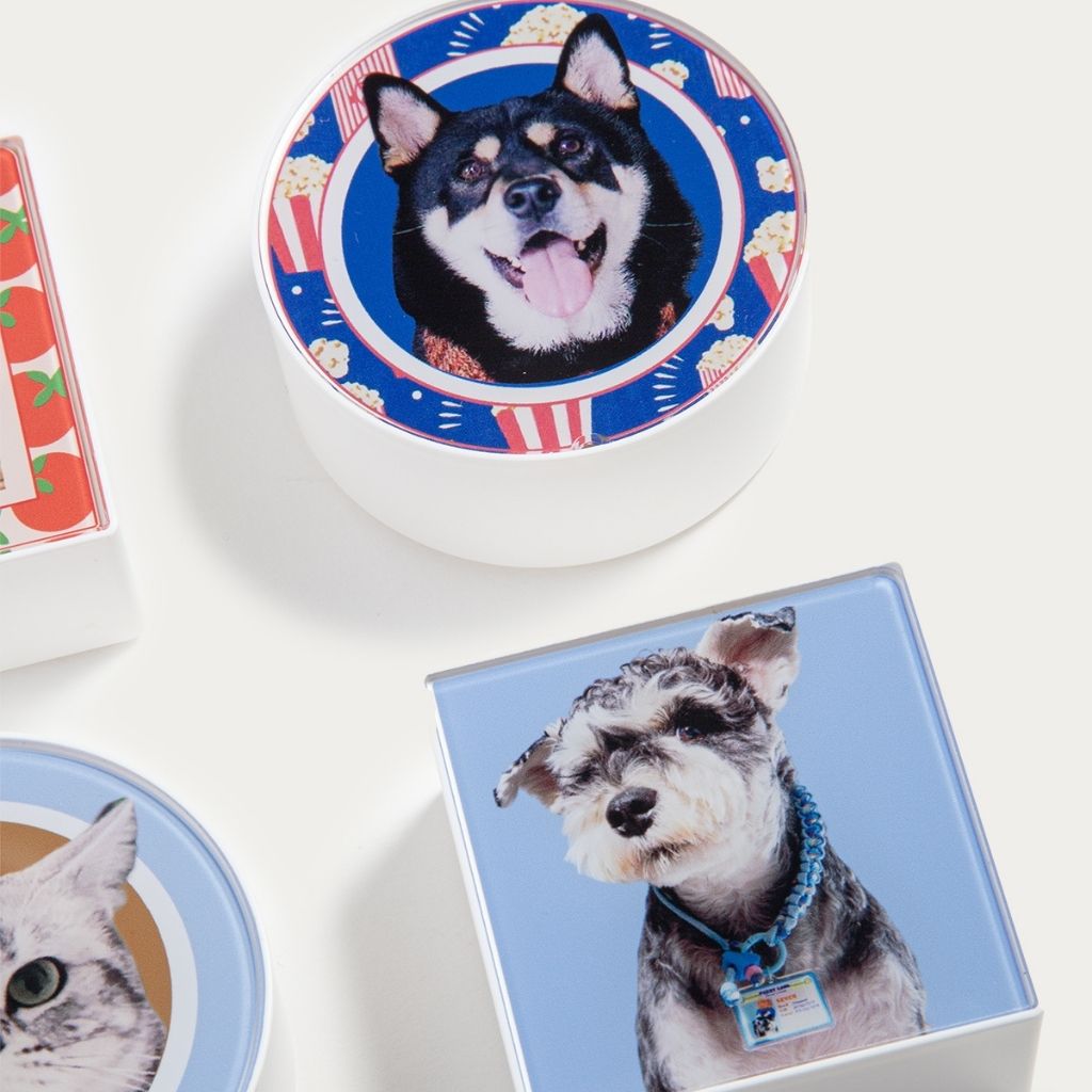 Custom LED Lightbox Pet Acrylic Fridge Magnet