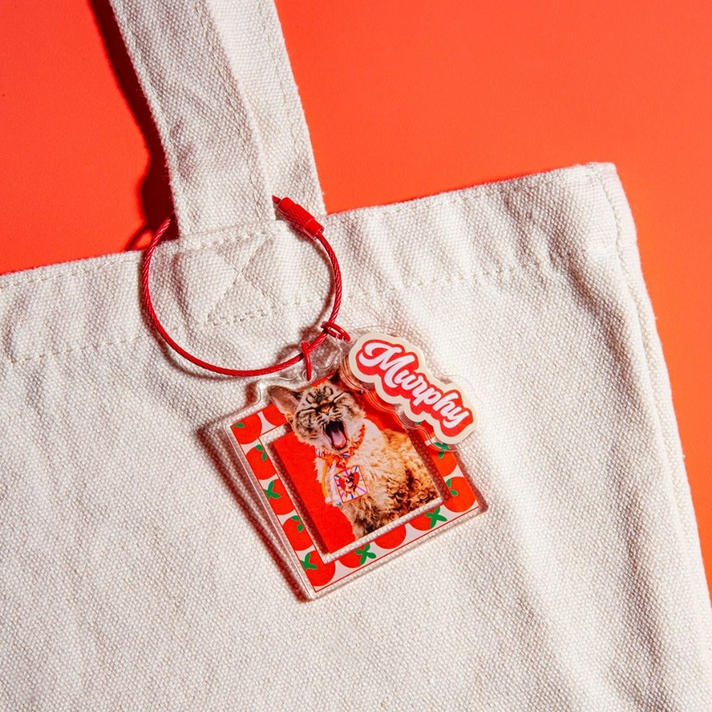Custom Square Acrylic Pet Keychain