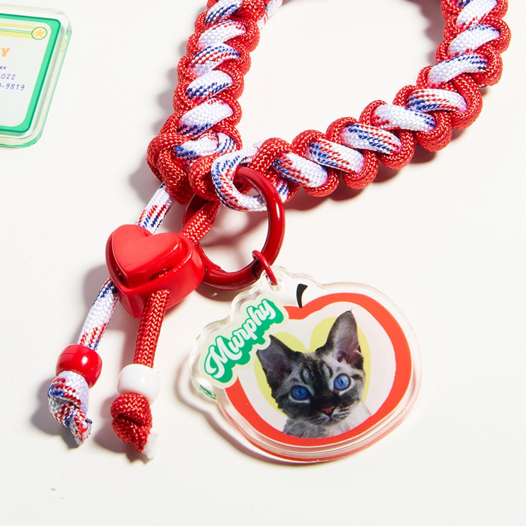 Custom Pet ID Tag with Name | Fruit-Shaped