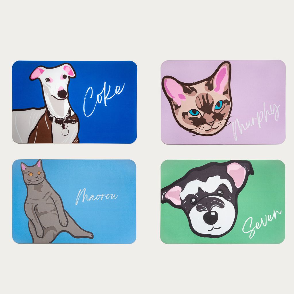Custom Pet Graphic Diatomite Bath Mat