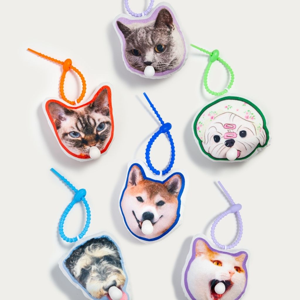 Custom Pet Bubble Keychain