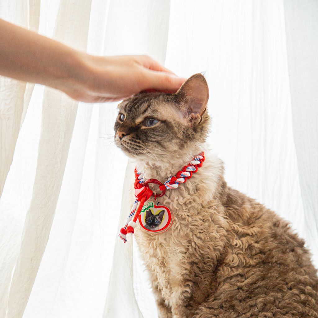 Custom Pet ID Tag with Name | Fruit-Shaped