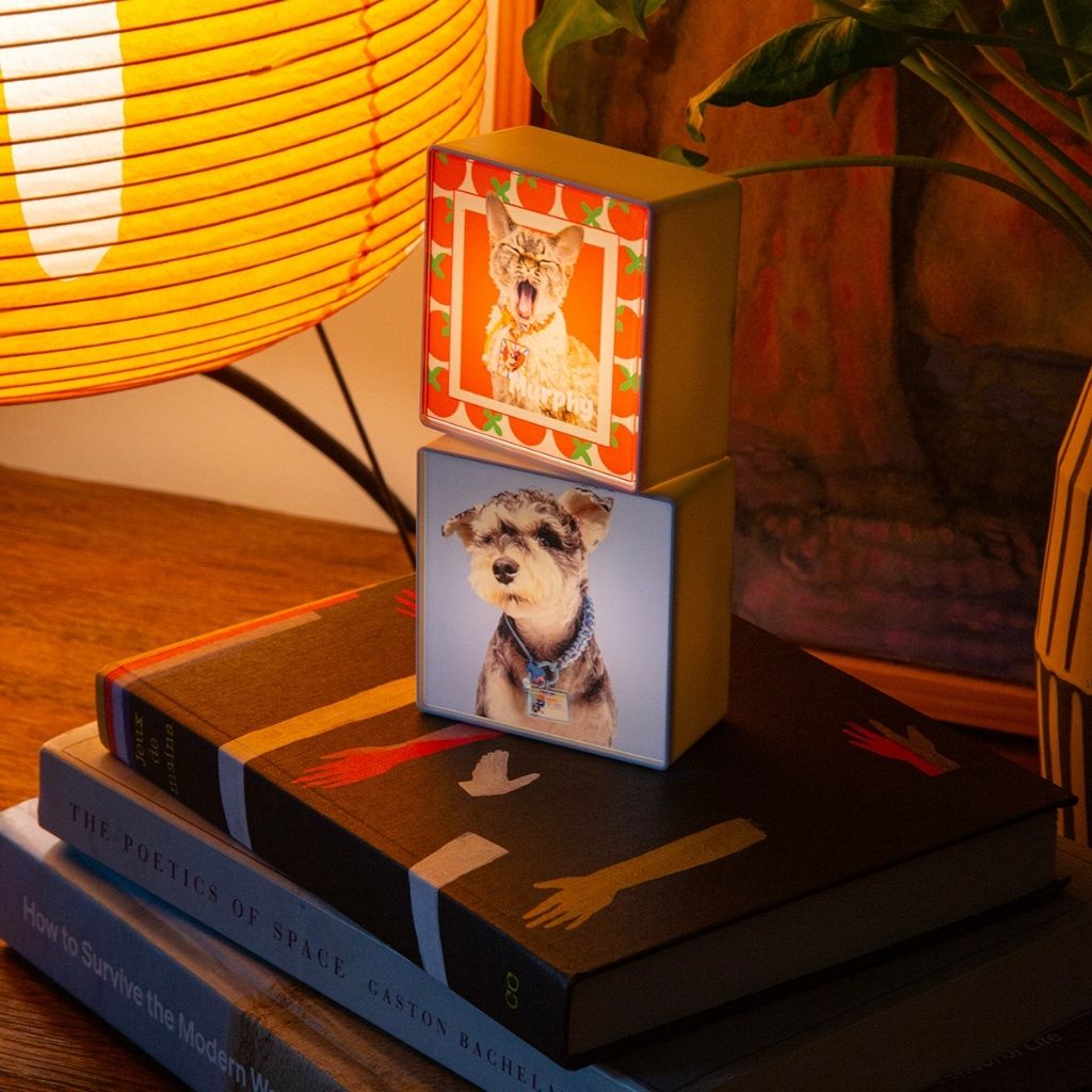 Custom LED Lightbox Pet Acrylic Fridge Magnet