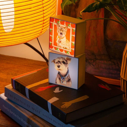 Custom LED Lightbox Pet Acrylic Fridge Magnet