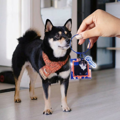 Custom Square Acrylic Pet Keychain