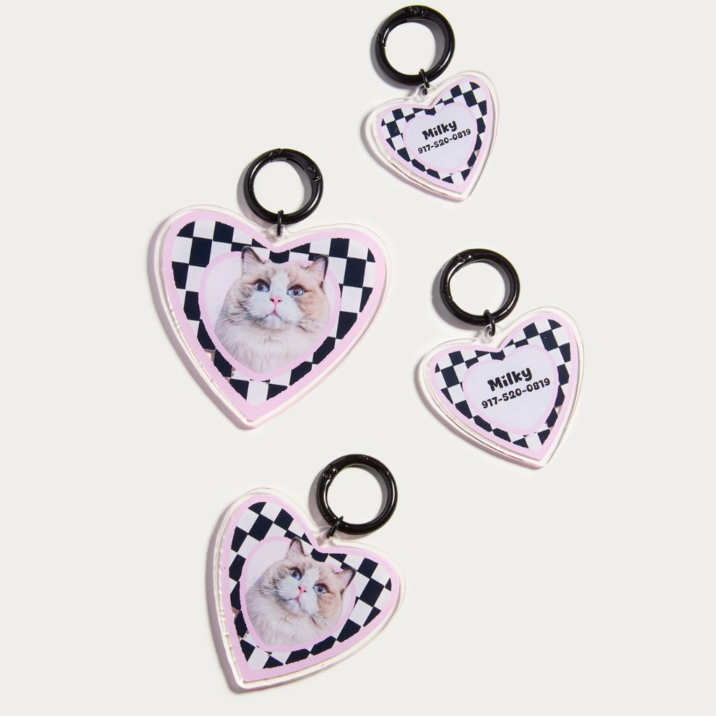 Custom Pet ID Tag with Name | Heart-Shaped