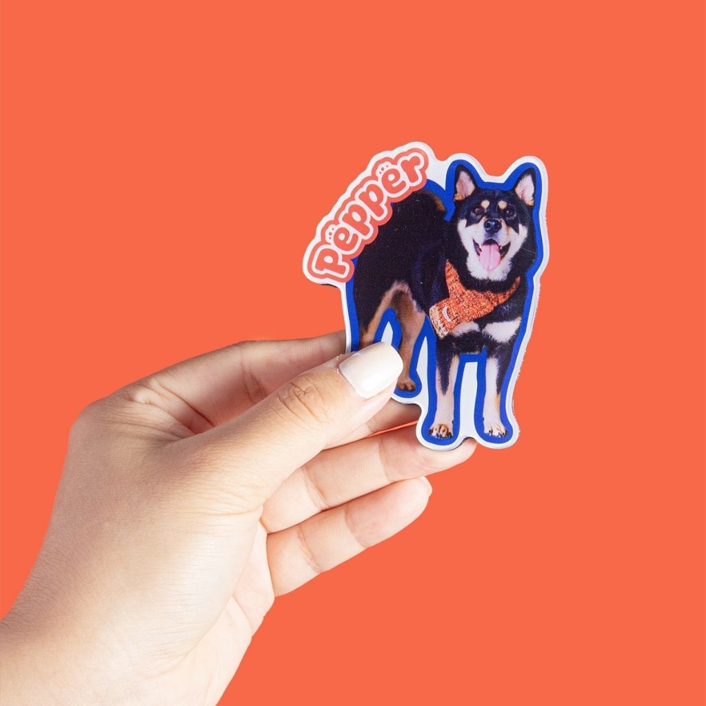 Custom Pet Shape Acrylic Fridge Magnet