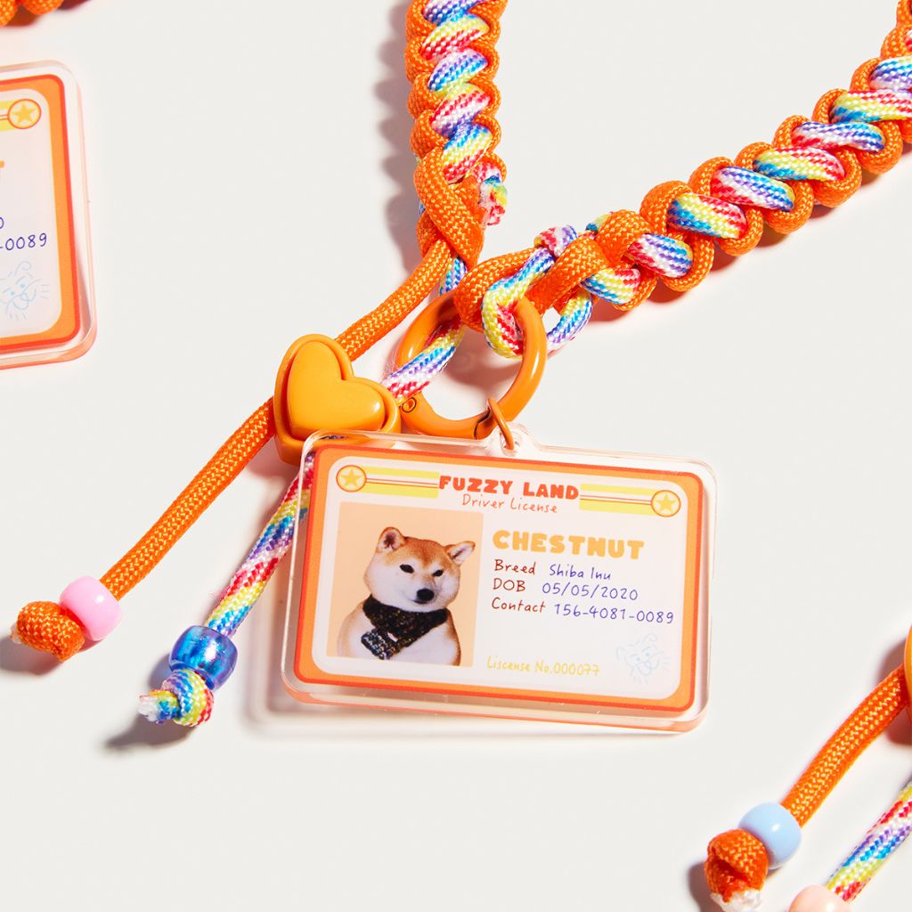 Custom Pet ID Tag with Name | Mini Driver’s License