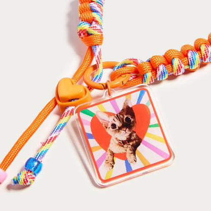 Placa de identificación cuadrada personalizada para mascotas con nombre | Placa personalizada con retrato para perro o gato | Accesorio moderno para collar en rojo o azul