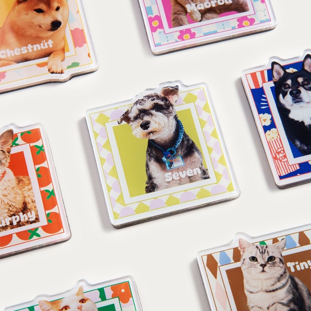 Custom Square Pet Fridge Magnet