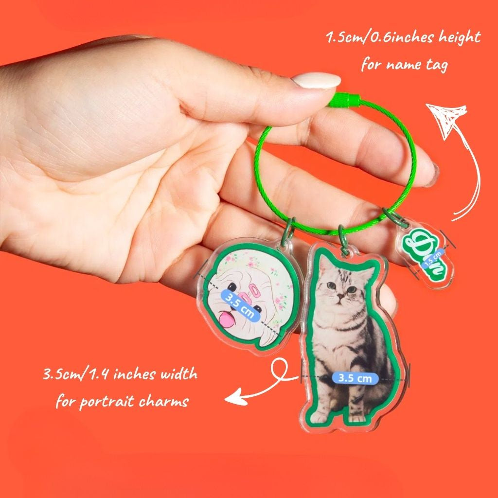 Custom Multi-Charm Pet Keychain
