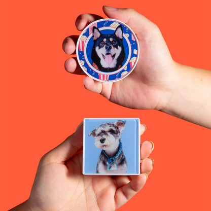 Custom LED Lightbox Pet Acrylic Fridge Magnet