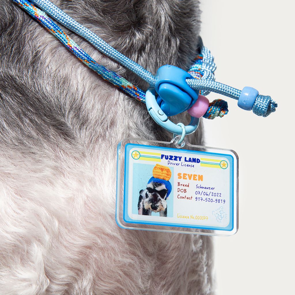 Custom Pet ID Tag with Name | Mini Driver’s License