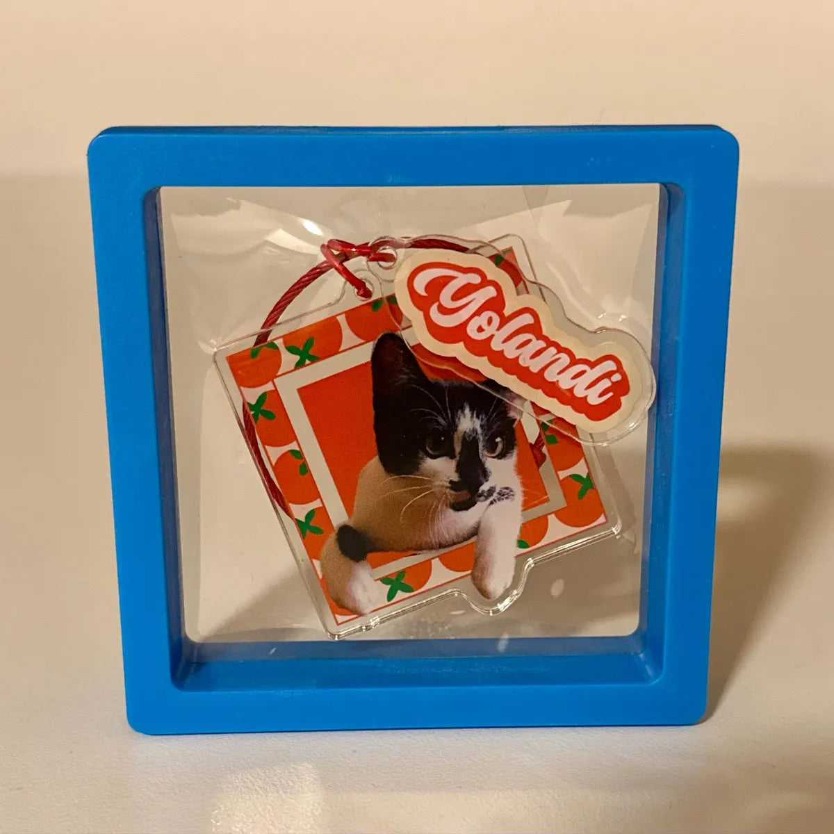 Cat-themed product with 'Yolandi' branding in a blue frame