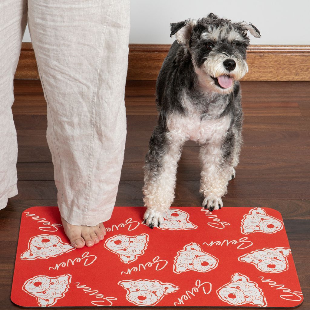 Custom Pet Line Art Diatomite Bath Mat