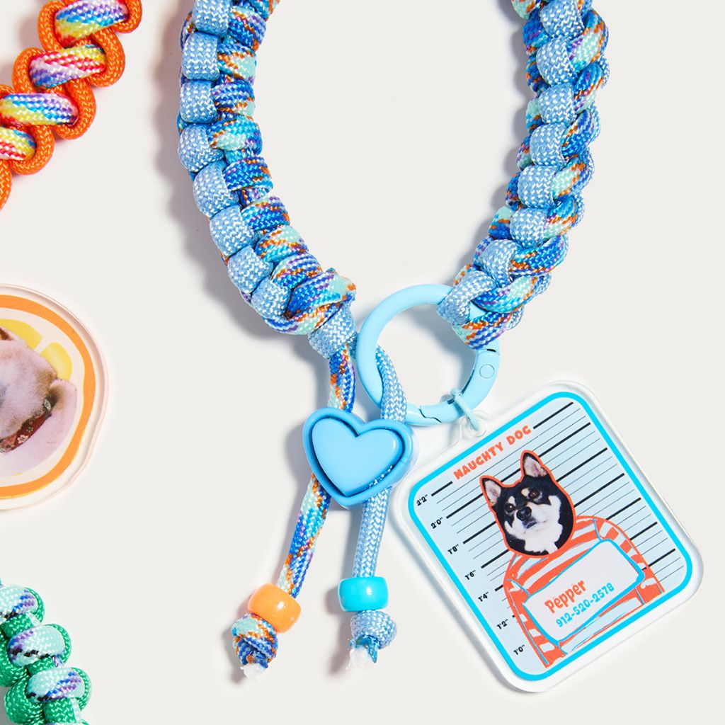 Placa de identificación cuadrada personalizada para mascotas con nombre | Placa personalizada con retrato para perro o gato | Accesorio moderno para collar en rojo o azul