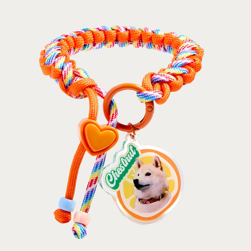 Custom Pet ID Tag with Name | Fruit-Shaped