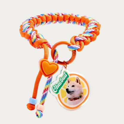 Custom Pet ID Tag with Name | Fruit-Shaped