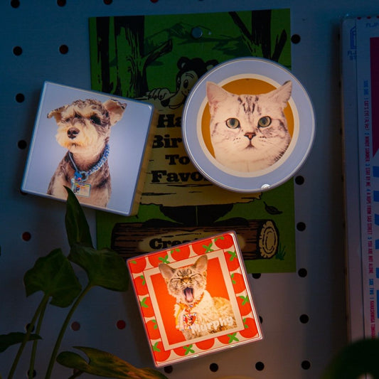 Custom LED Lightbox Pet Acrylic Fridge Magnet