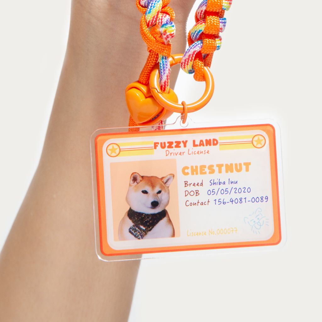 Custom Pet ID Tag with Name | Mini Driver’s License