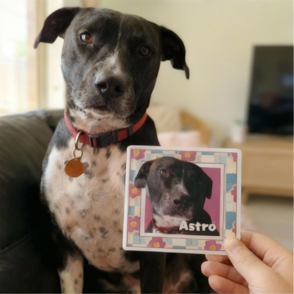 Custom Square Pet Fridge Magnet