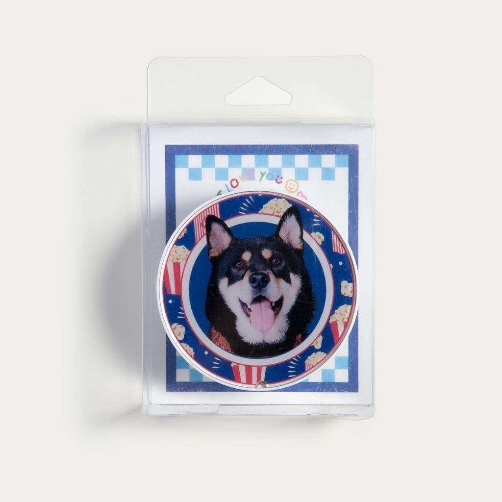 Custom LED Lightbox Pet Acrylic Fridge Magnet