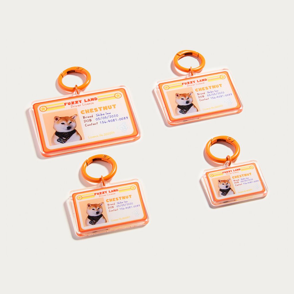 Custom Pet ID Tag with Name | Mini Driver’s License