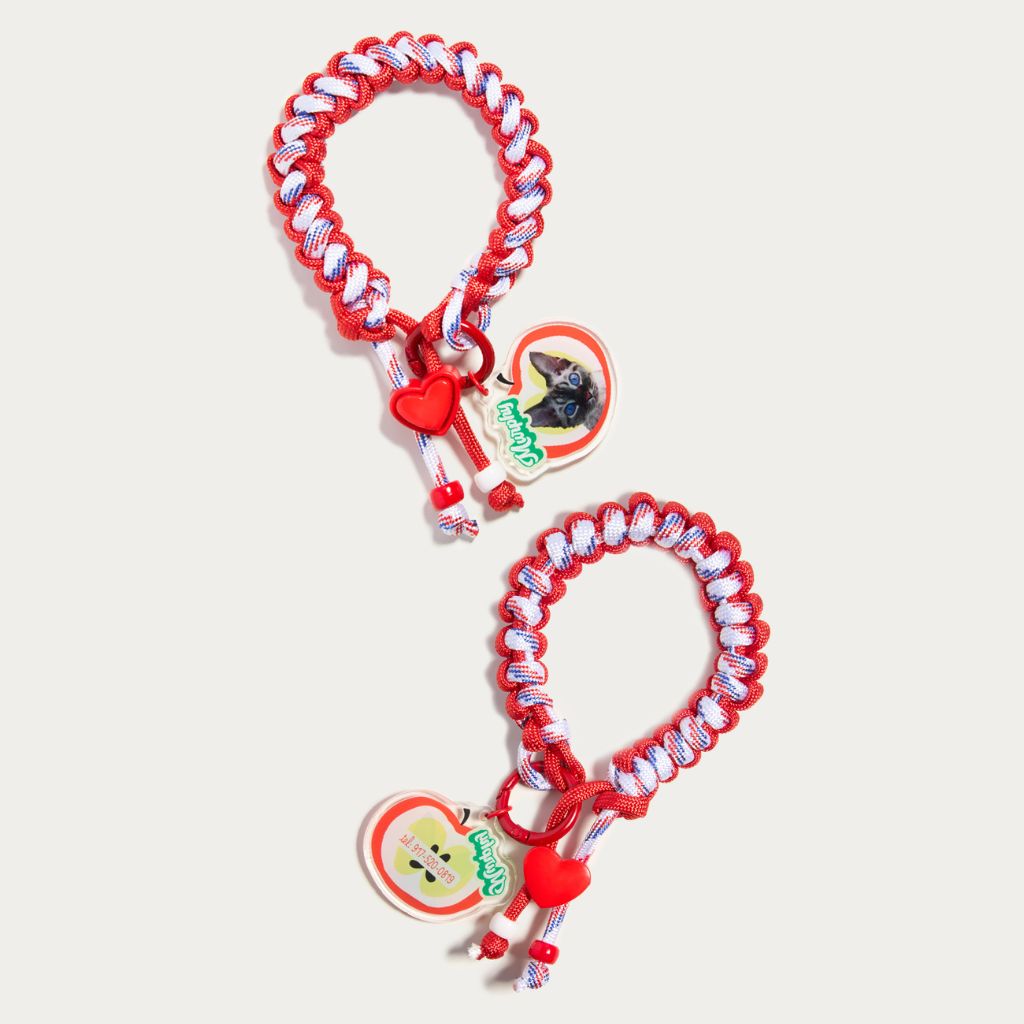 Custom Pet ID Tag with Name | Fruit-Shaped