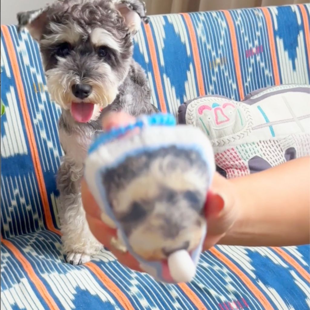 Custom Pet Bubble Keychain