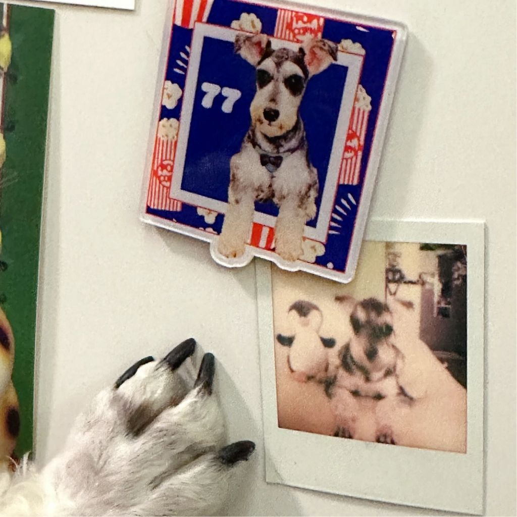 Custom Square Pet Fridge Magnet