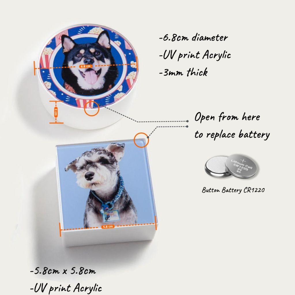 Custom LED Lightbox Pet Acrylic Fridge Magnet