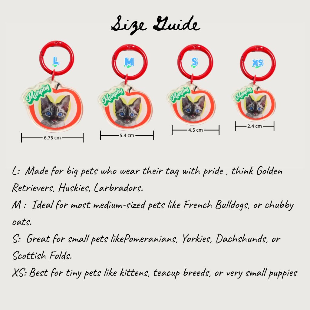 Custom Pet ID Tag with Name | Fruit-Shaped